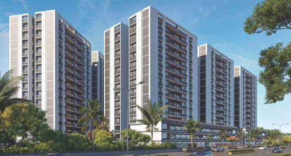  white-pelican Elevation