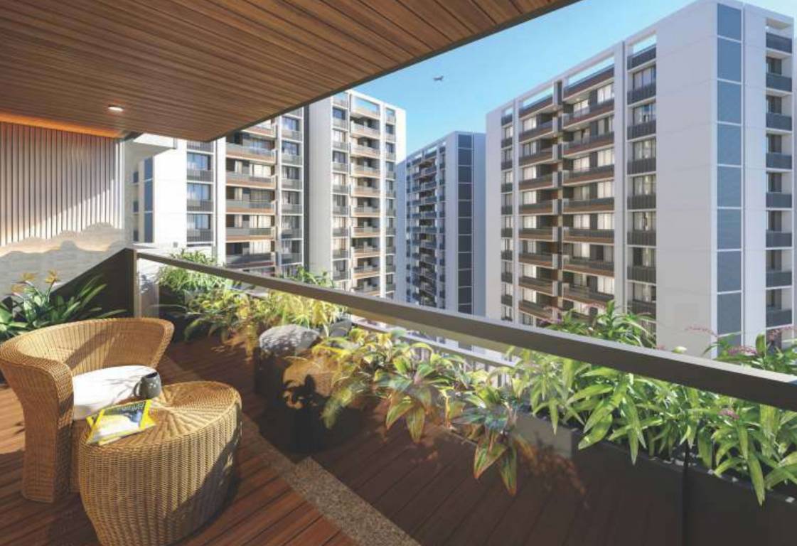  white pelican Balcony