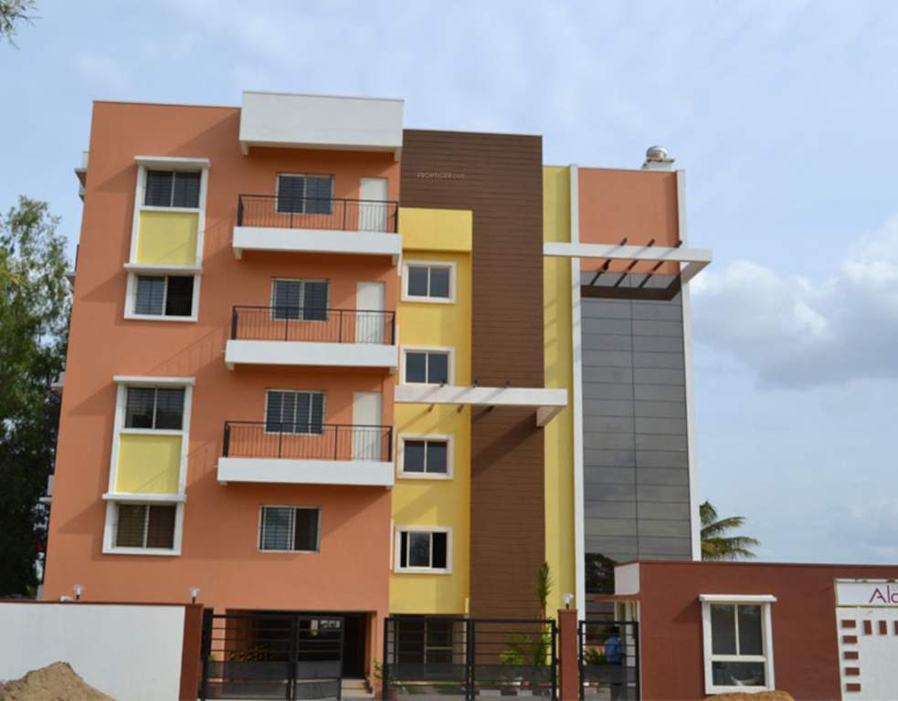  asset alcazar Elevation