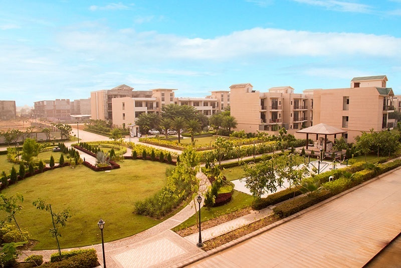 Elevation  silver birch Elevation