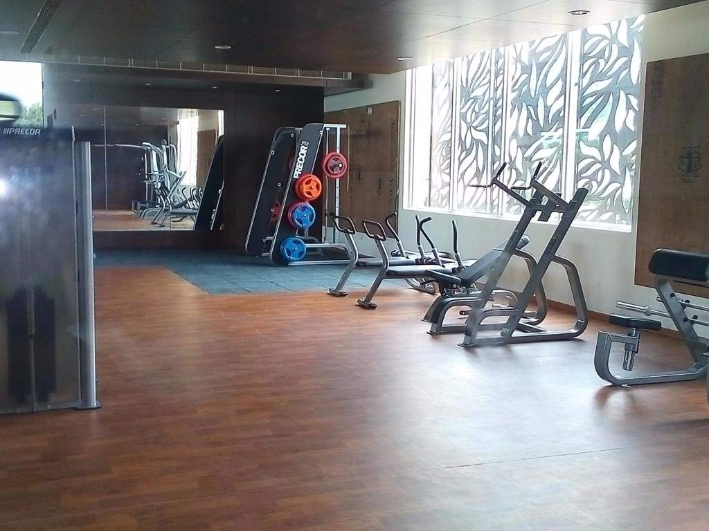  silver birch Gymnasium