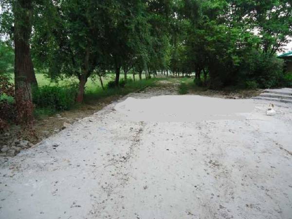  cloud-9 Landscape Garden and Tree Planting