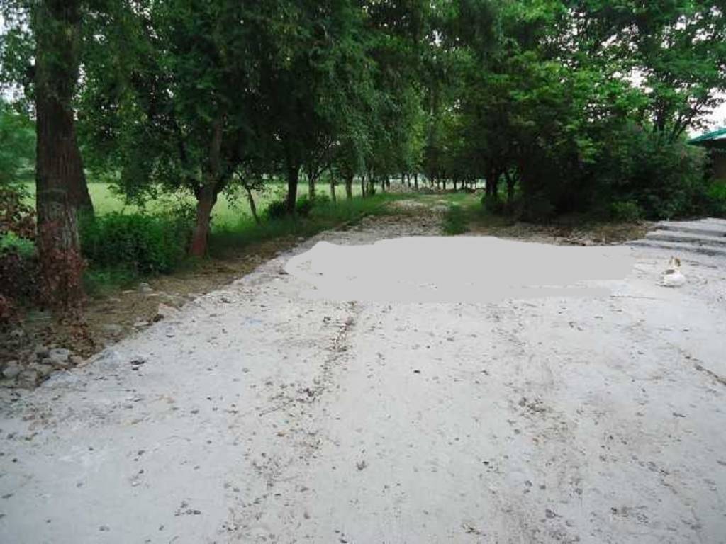  cloud 9 Landscape Garden and Tree Planting