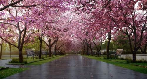  manhattan-towers-town-park-phase-1-w-4-and-5 Others