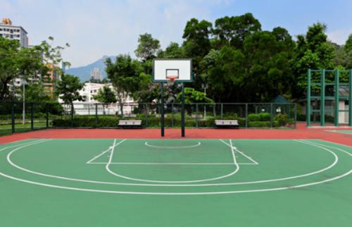  lotus-invites-villa Basketball Court