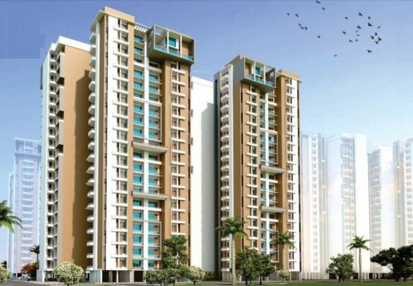  celebrity-petals-niranjana Elevation