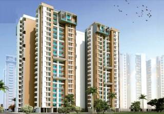 Project Image Project Image