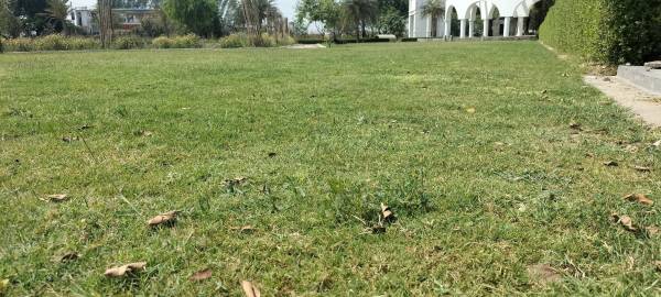  swastik-green-park Others