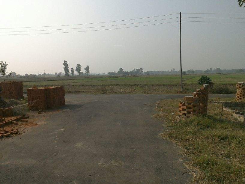 shashi greens Plot
