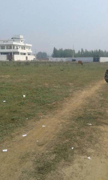  urban-homes-phase Elevation