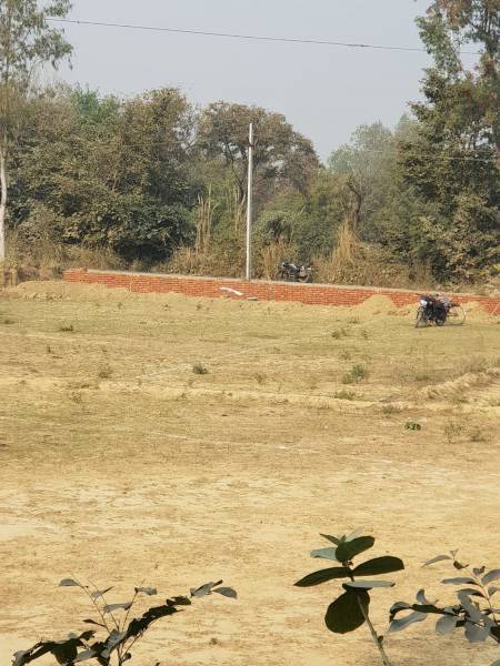  palm-garden Elevation