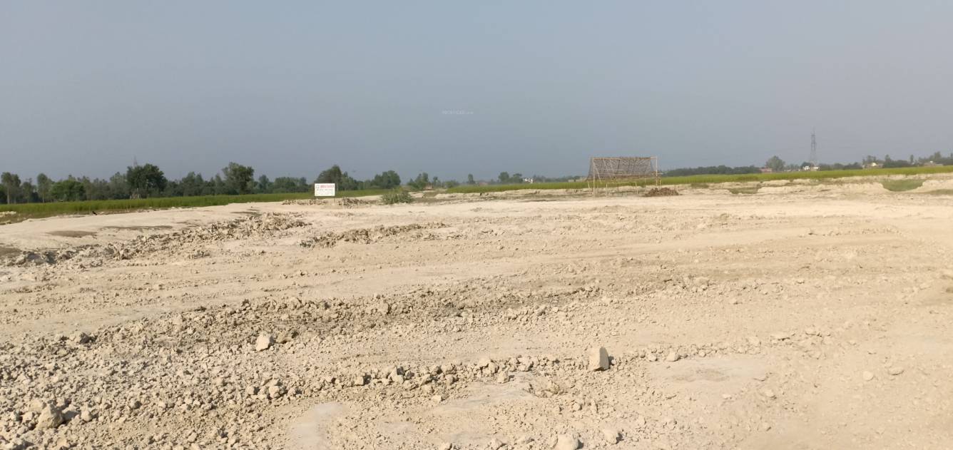  express way city Elevation