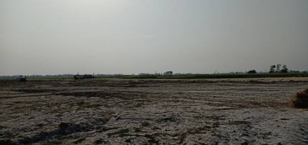  express-way-city Elevation