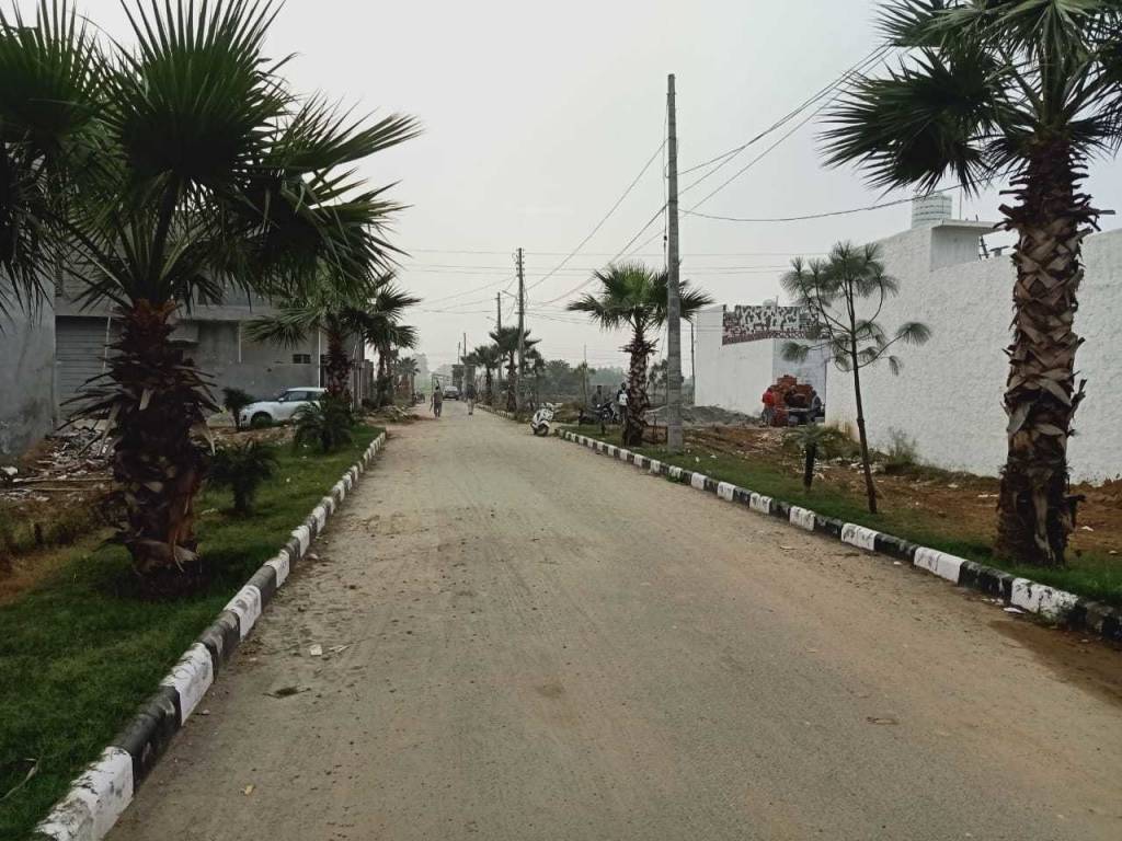 palm city Internal Roads