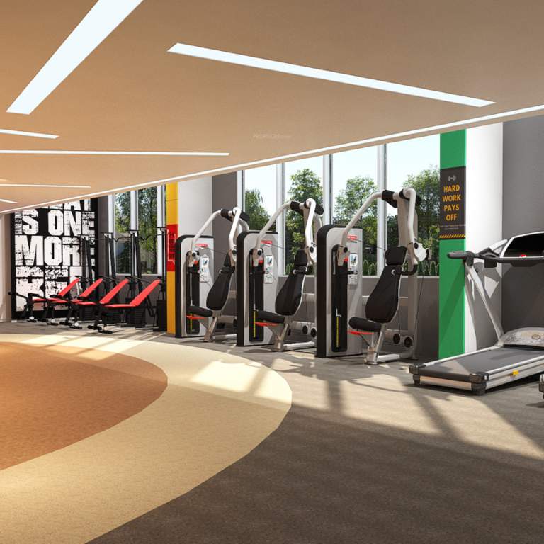  14 woodland park Gymnasium