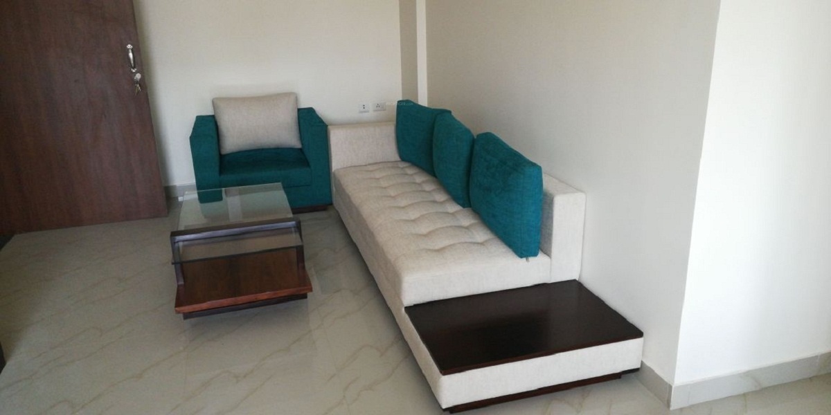 mayur Living Area