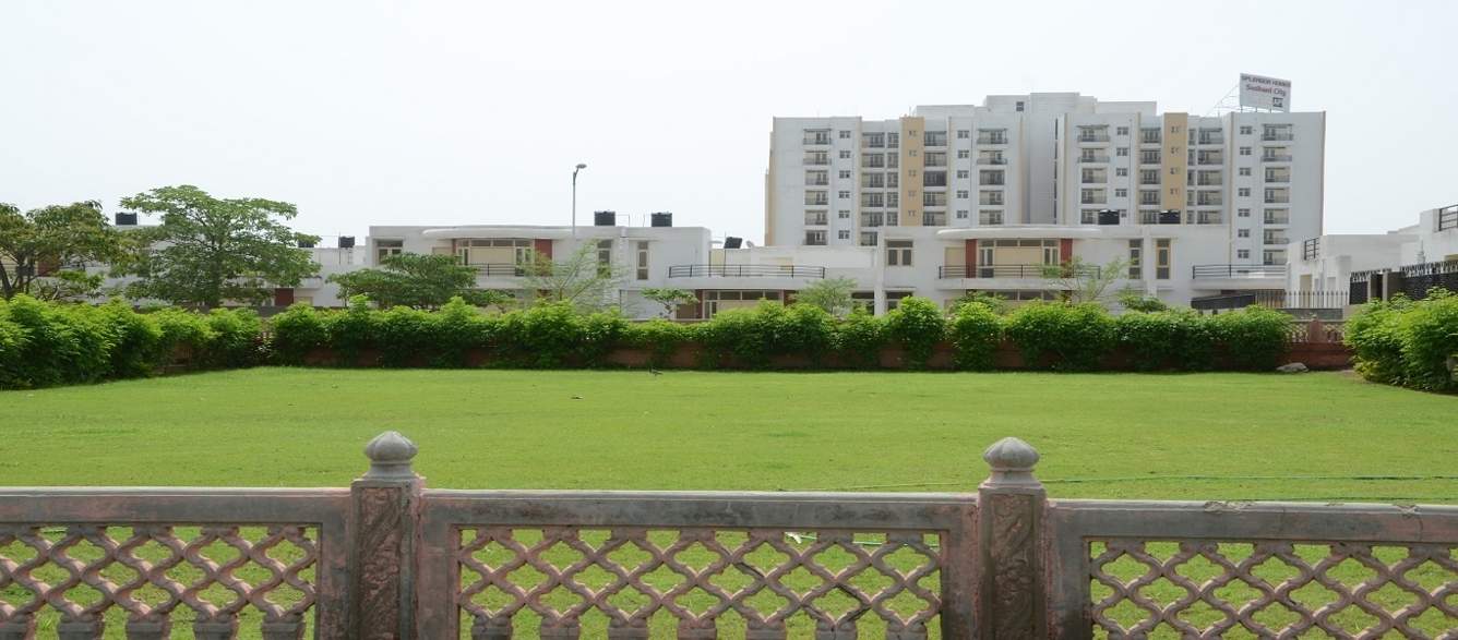  ansal api happy homes Landscape Garden and Tree Planting