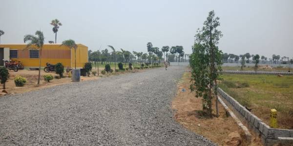  sun-city Internal Roads