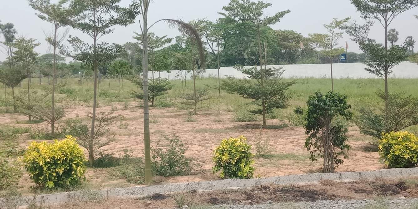  sun city Plot