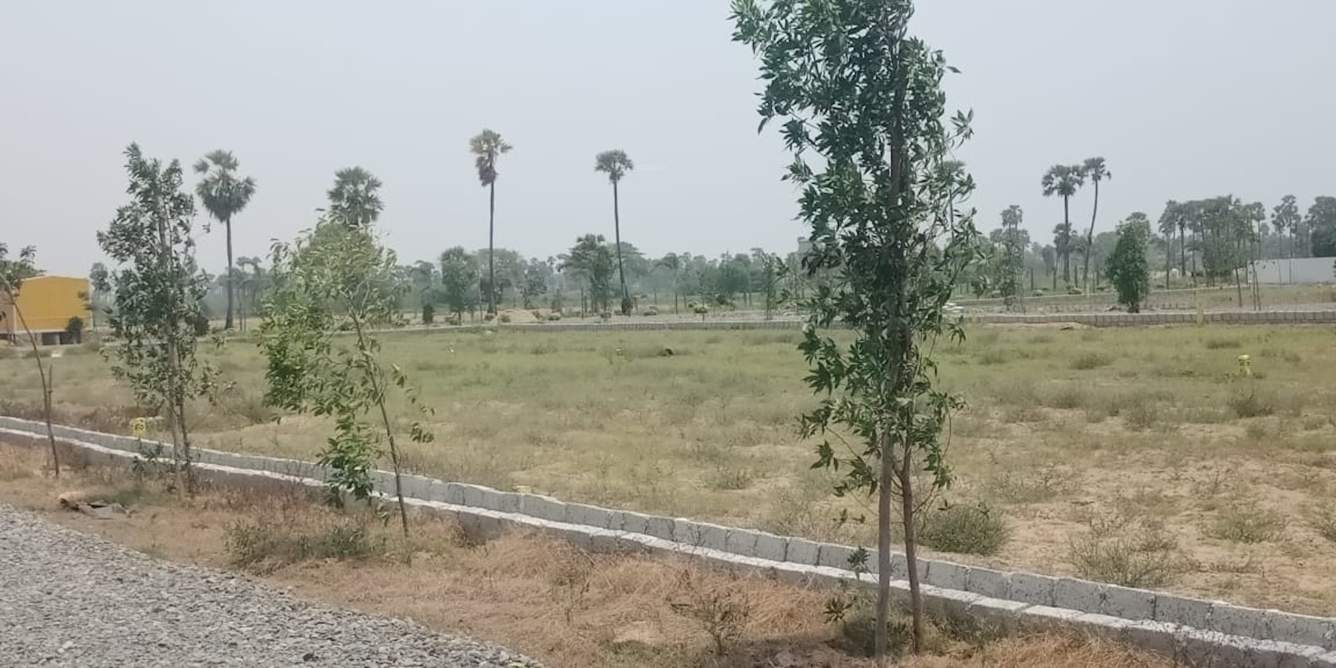  sun city Plot