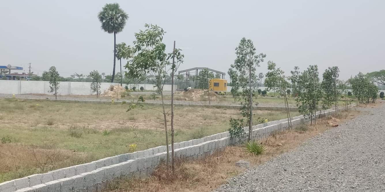  sun city Plot