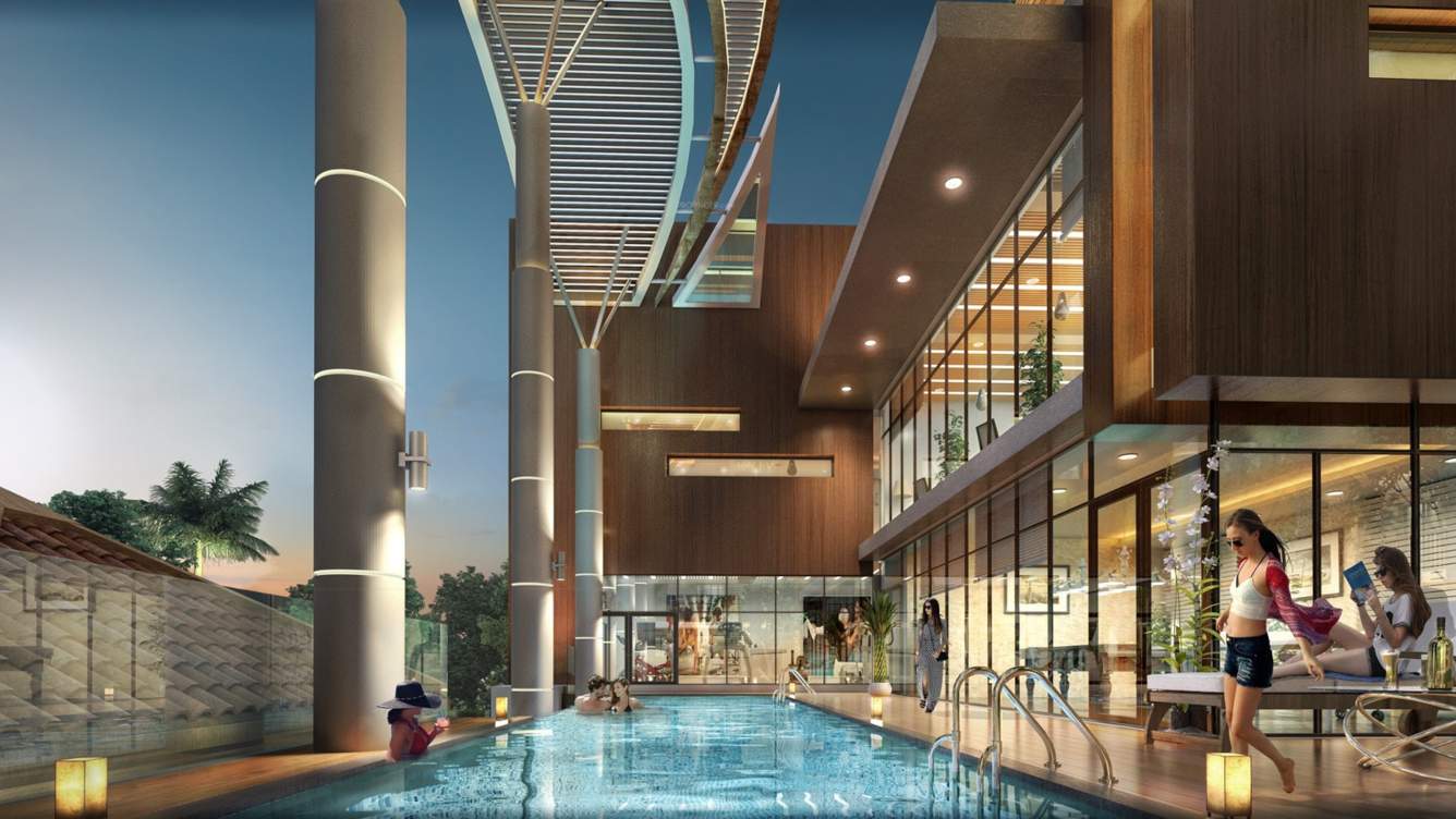  gazania Swimming Pool