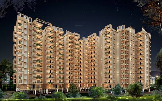 ornate Elevation Elevation