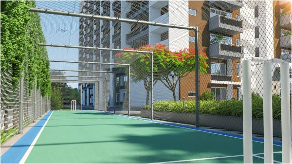 Others miracle Others