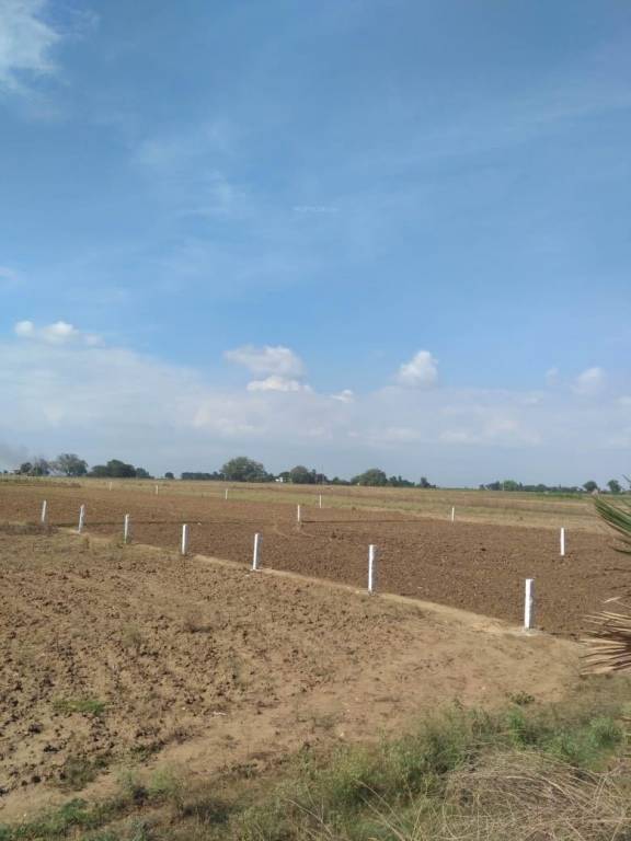 sundar city Plot