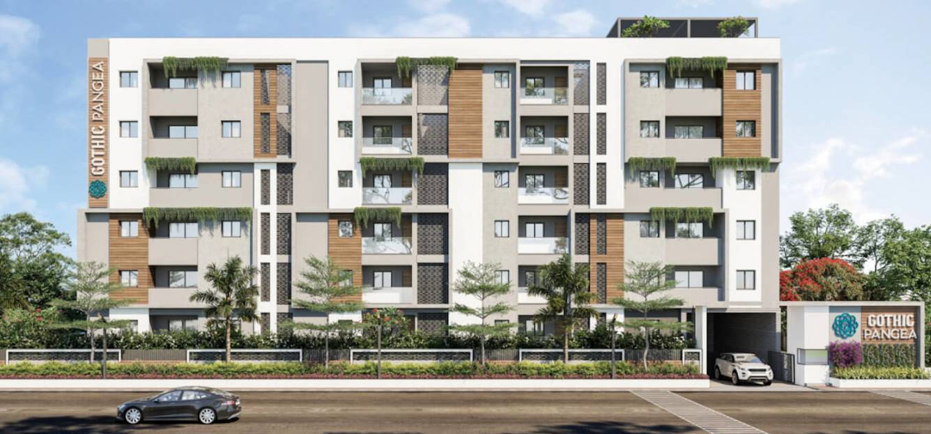 Elevation pangea Elevation