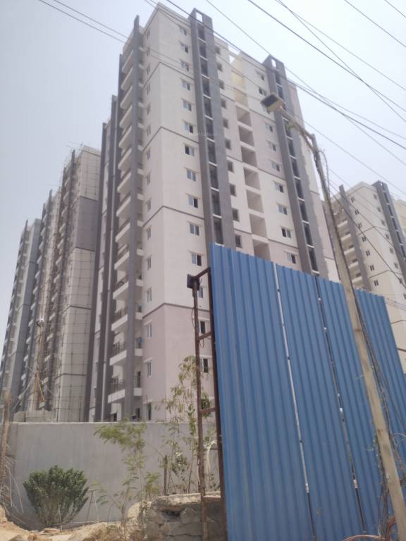  asbl springs Construction Status May 24