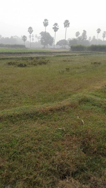  prakriti-vihar Elevation