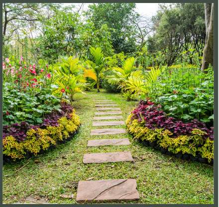  sai mauli Landscape Garden and Tree Planting