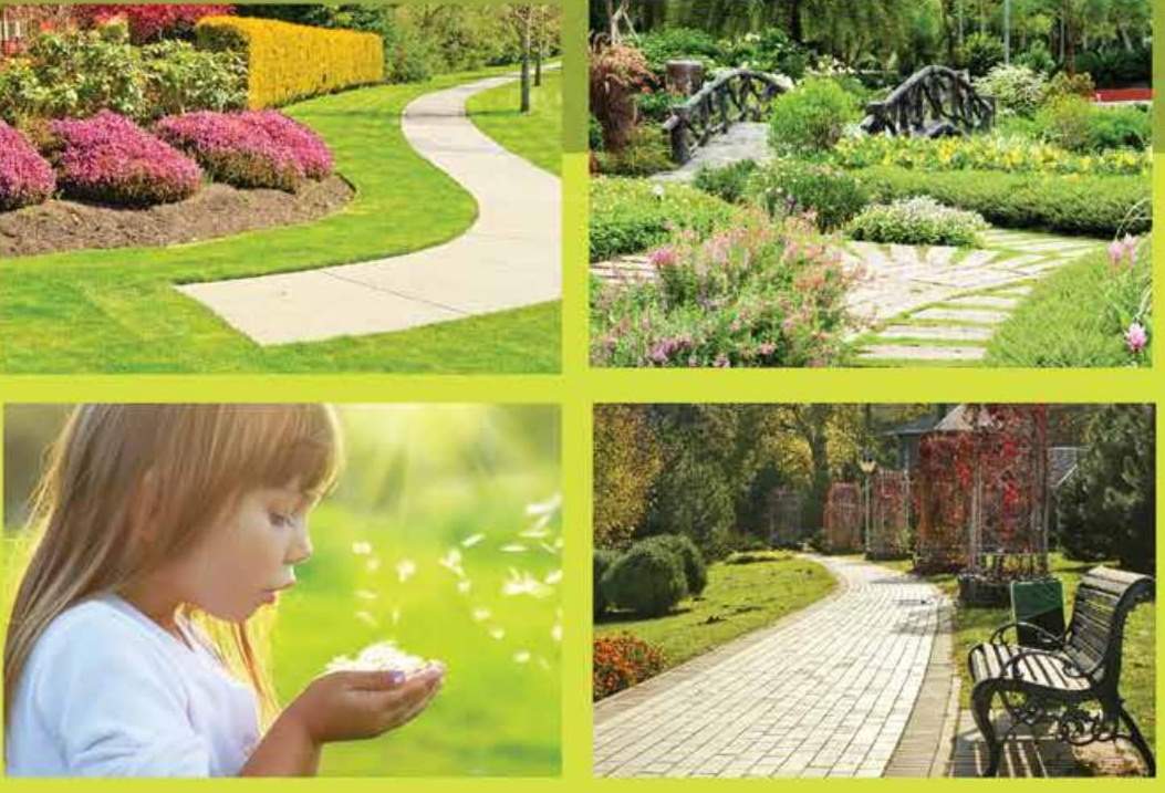  the landmark gold Landscaped Gardens