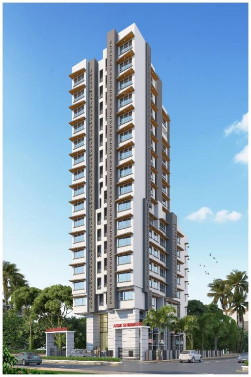  asmi shimmers Elevation