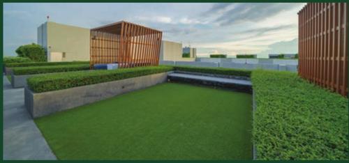  metro-majestic-by-nakshatra-builders-thane Terrace Garden