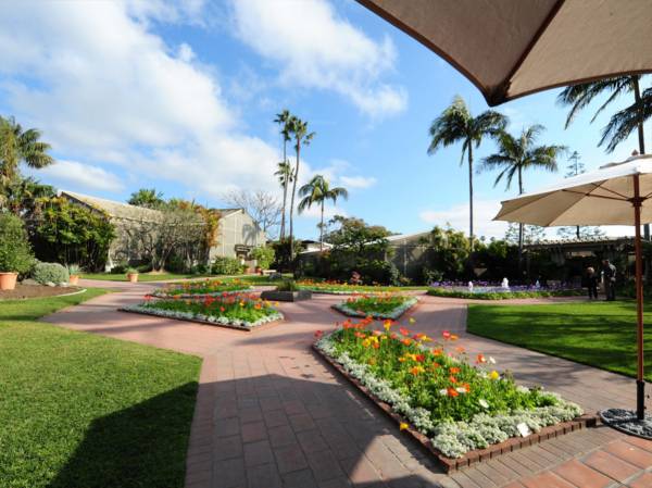  lotus-abode Jogging Track