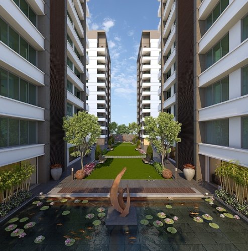  stone Landscape Garden and Tree Planting