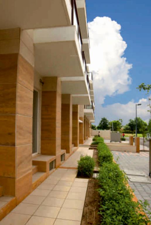  astaire garden floors Others