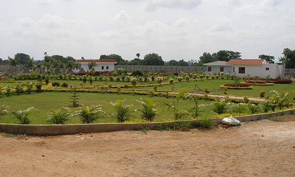  western springfields Plot