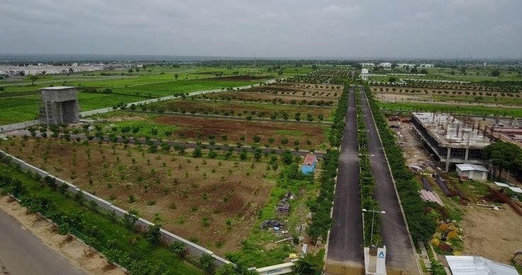  western springfields Plot