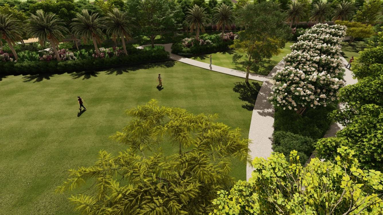  western springfields Plot