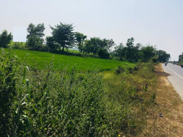  budhha-green-city Elevation