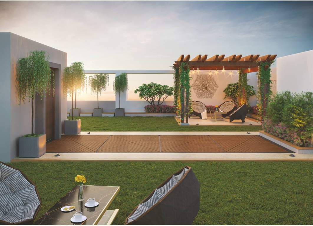 riviera Others