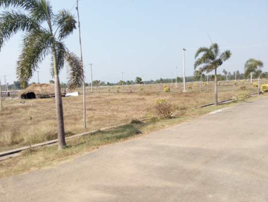  golden city Plot