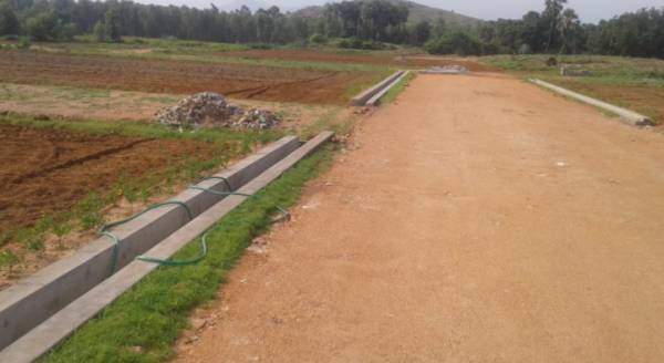  sai-dharani-township-plot Plot