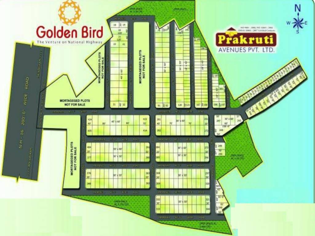 golden bird Master Plan