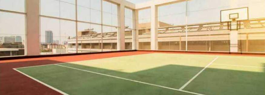  daivi eterneety Basketball Court