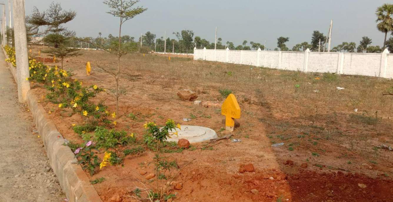  nandanavanam subhaprada plot Plot