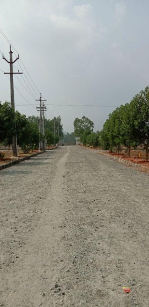 nandanavanam prasiddha Plot
